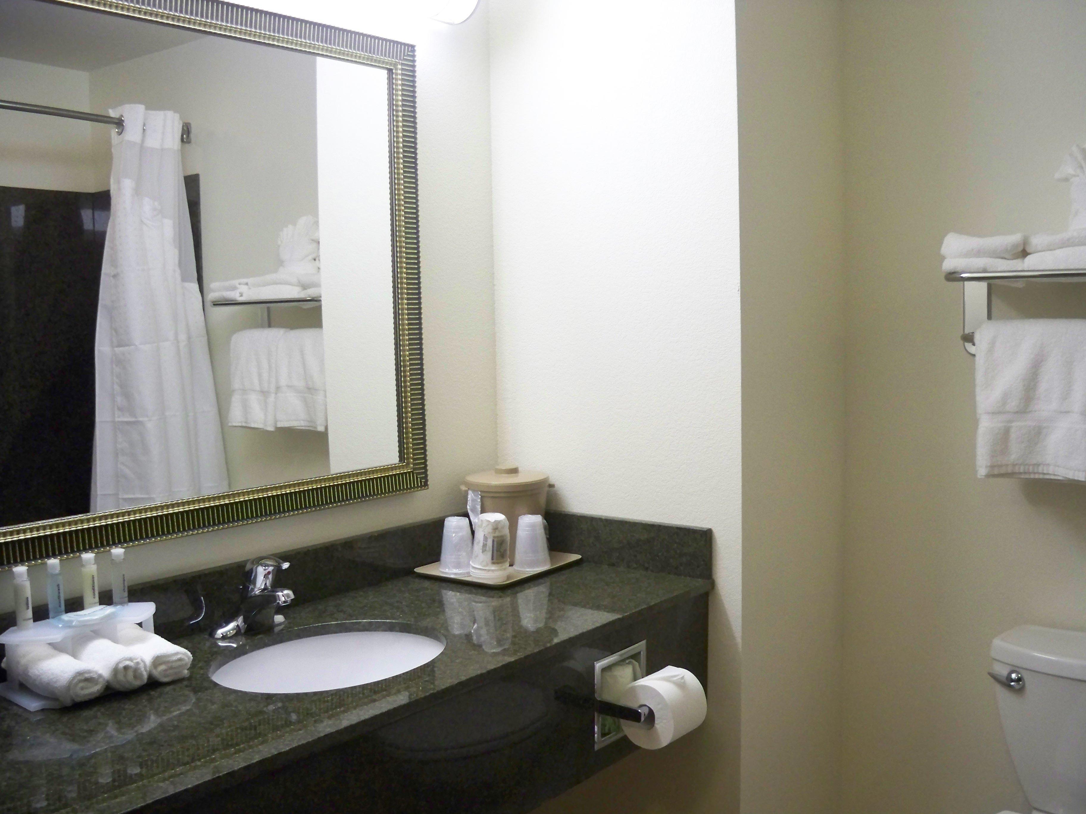 Holiday Inn Express & Suites - Omaha I - 80, An Ihg Hotel Gretna Chambre photo
